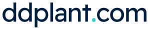 D & D PLANT